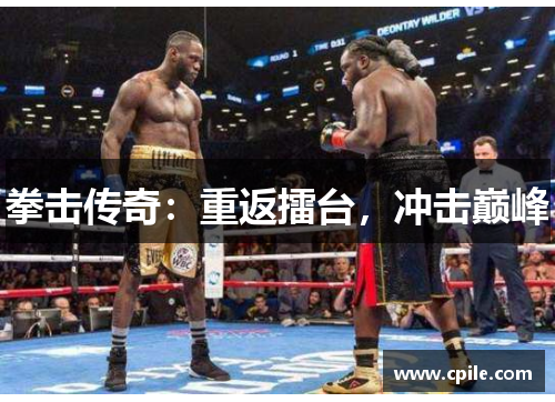 拳击传奇：重返擂台，冲击巅峰
